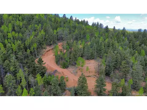 County Road 61 Ct Rd, Divide, CO 80814 photo 11