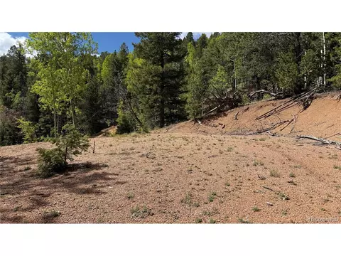 County Road 61 Ct Rd, Divide, CO 80814 photo 38