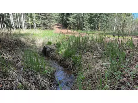 County Road 61 Ct Rd, Divide, CO 80814 photo 3