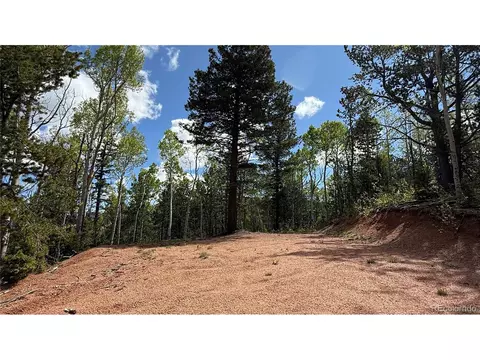 County Road 61 Ct Rd, Divide, CO 80814 photo 40