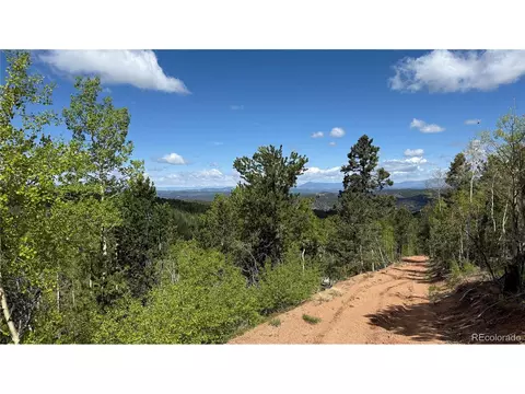 County Road 61 Ct Rd, Divide, CO 80814 photo 41