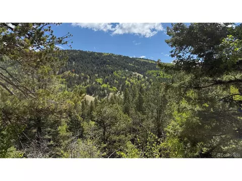 County Road 61 Ct Rd, Divide, CO 80814 photo 34