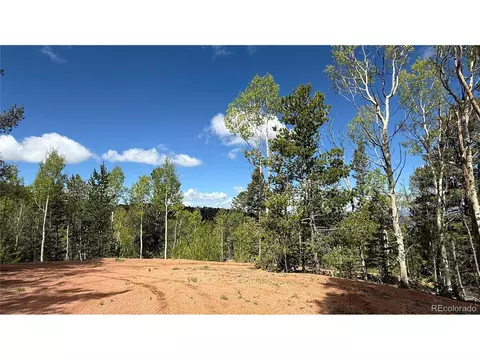 County Road 61 Ct Rd, Divide, CO 80814 photo 43