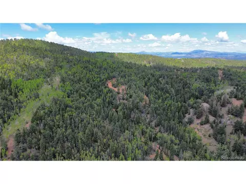 County Road 61 Ct Rd, Divide, CO 80814 photo 9