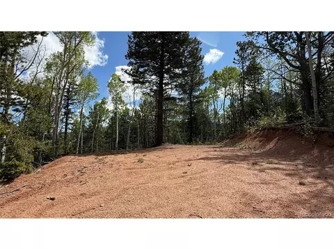 County Road 61 Ct Rd, Divide, CO 80814 photo 39