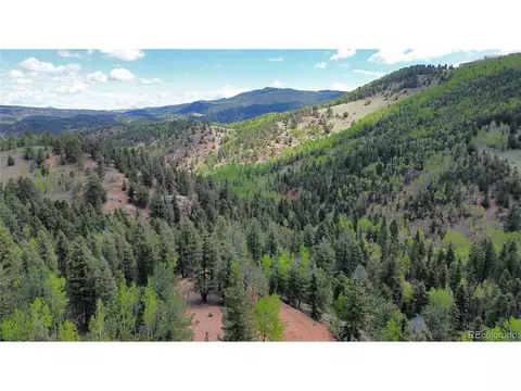 County Road 61 Ct Rd, Divide, CO 80814 photo 13