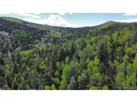 County Road 61 Ct Rd, Divide, CO 80814 photo 15