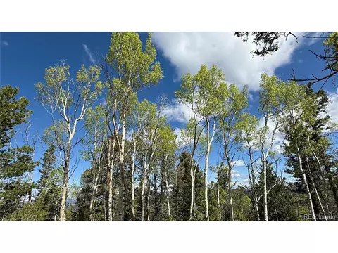 County Road 61 Ct Rd, Divide, CO 80814 photo 44