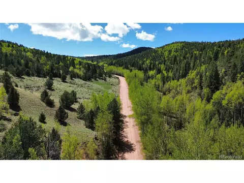County Road 61 Ct Rd, Divide, CO 80814 photo 25