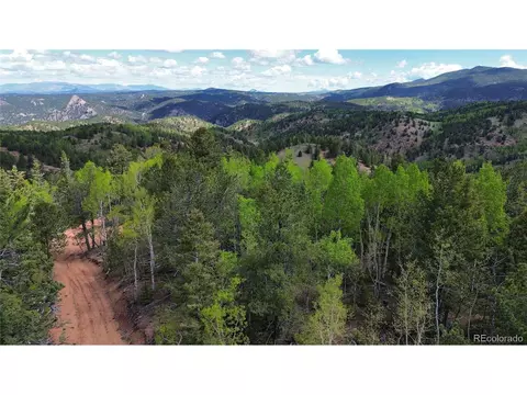 County Road 61 Ct Rd, Divide, CO 80814 photo 18