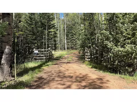 County Road 61 Ct Rd, Divide, CO 80814 photo 2