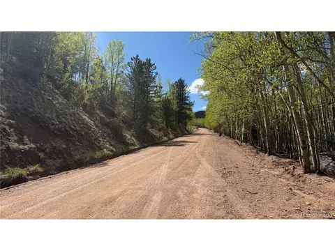 County Road 61 Ct Rd, Divide, CO 80814 photo 30