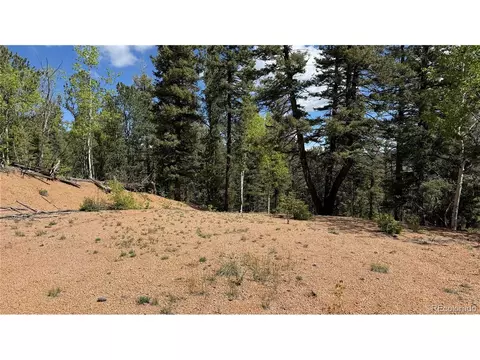 County Road 61 Ct Rd, Divide, CO 80814 photo 37