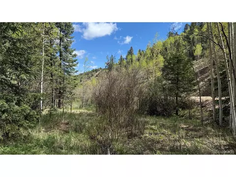 County Road 61 Ct Rd, Divide, CO 80814 photo 32