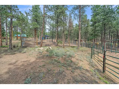 Exterior - 104 Six Bits St, Bailey, CO 80421 photo 5 of 7