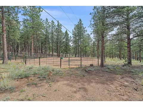 Other - 104 Six Bits St, Bailey, CO 80421 photo 12 of 15