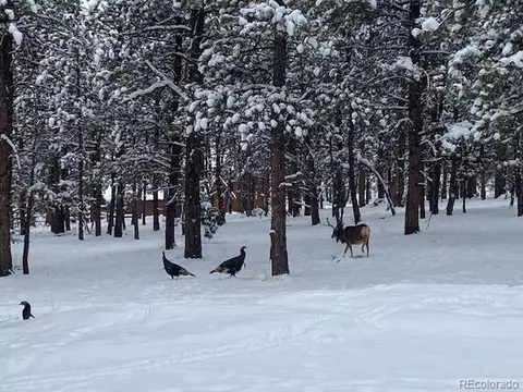 Other - 104 Six Bits St, Bailey, CO 80421 photo 15 of 15