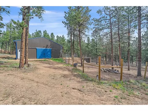 Exterior - 104 Six Bits St, Bailey, CO 80421 photo 4 of 7