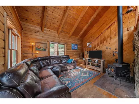Living - 104 Six Bits St, Bailey, CO 80421 photo 1 of 4