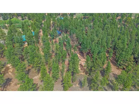 View/Area - 104 Six Bits St, Bailey, CO 80421 photo 6 of 6