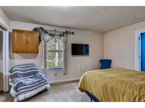 125 Ball Rd, Bailey, CO 80421 photo 21