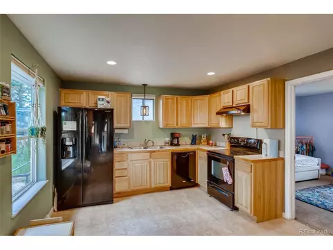 125 Ball Rd, Bailey, CO 80421 photo 16