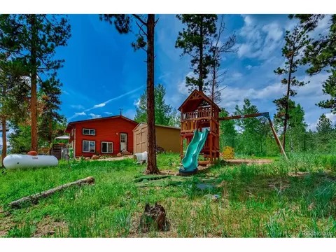 125 Ball Rd, Bailey, CO 80421 photo 26