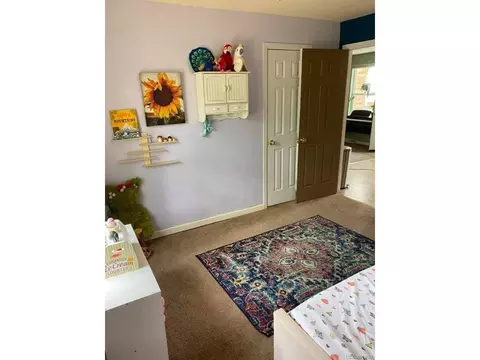 125 Ball Rd, Bailey, CO 80421 photo 23