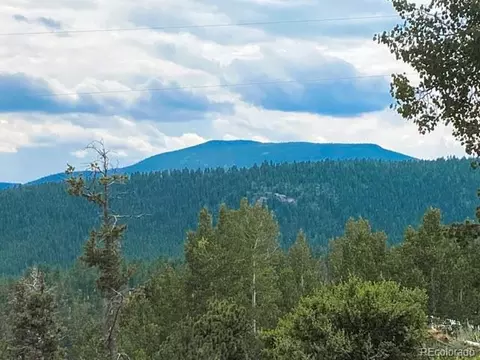 125 Ball Rd, Bailey, CO 80421 photo 30