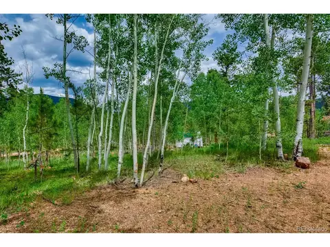 125 Ball Rd, Bailey, CO 80421 photo 33