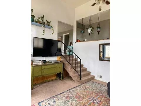 125 Ball Rd, Bailey, CO 80421 photo 3