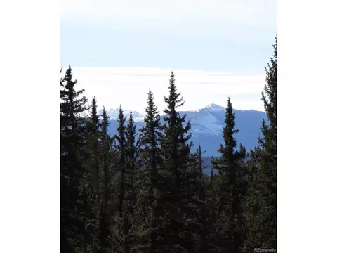 125 Ball Rd, Bailey, CO 80421 photo 35