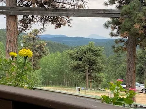 125 Ball Rd, Bailey, CO 80421 photo 32