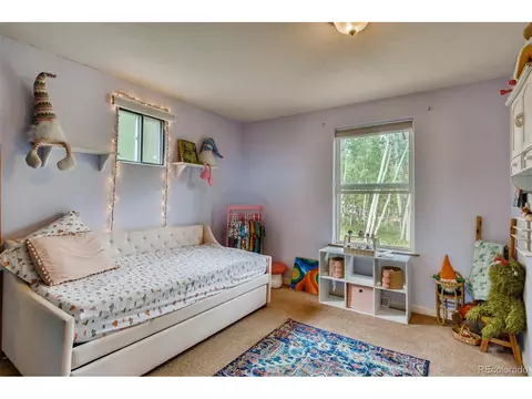 125 Ball Rd, Bailey, CO 80421 photo 19