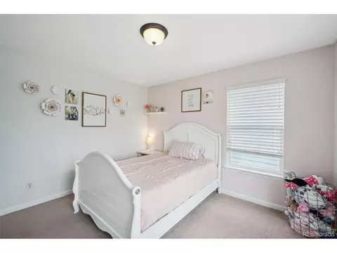17156 E Trailmaster Dr, Parker, CO 80134 photo 34