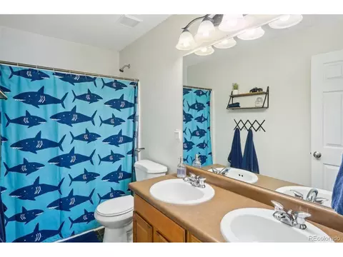 17156 E Trailmaster Dr, Parker, CO 80134 photo 22