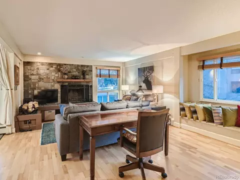 304 Ryan Gulch Ct #B101, Silverthorne, CO 80498 photo 7