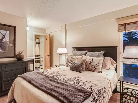 304 Ryan Gulch Ct #B101, Silverthorne, CO 80498 photo 17