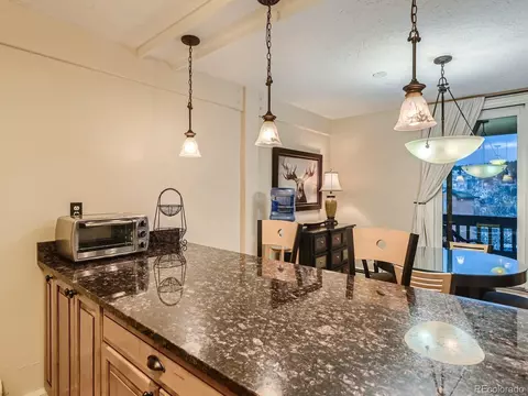 304 Ryan Gulch Ct #B101, Silverthorne, CO 80498 photo 13