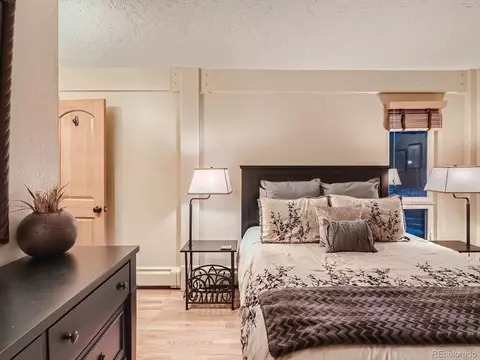 304 Ryan Gulch Ct #B101, Silverthorne, CO 80498 photo 16