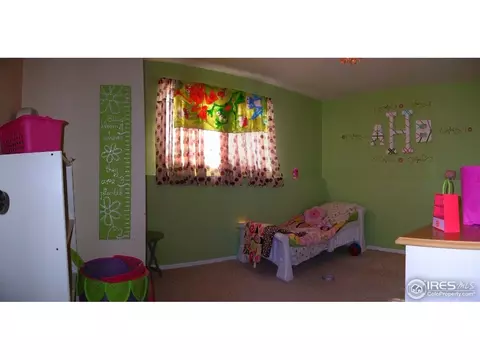 712 10th St, Windsor, CO 80550 photo 9
