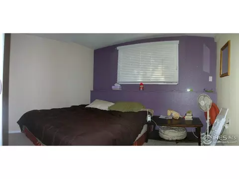 712 10th St, Windsor, CO 80550 photo 8
