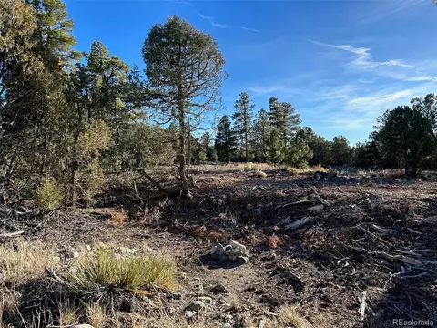 16 Big Bear Rd, Mosca, CO 81146