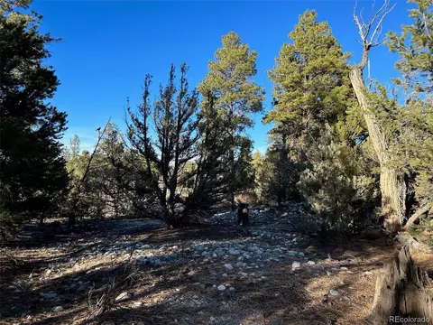 16 Big Bear Rd, Mosca, CO 81146 photo 8