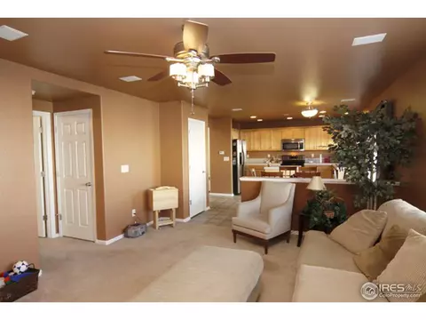 2733 E 139th Dr, Thornton, CO 80602 photo 5