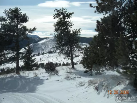 333 Left Fork Rd, Boulder, CO 80302 photo 7