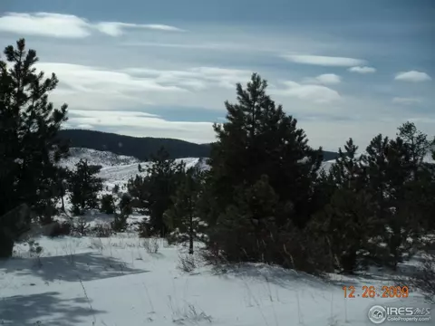 333 Left Fork Rd, Boulder, CO 80302 photo 8