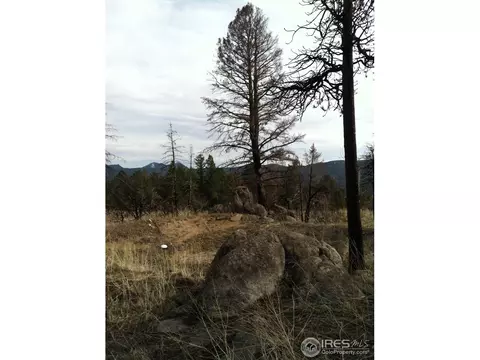 333 Left Fork Rd, Boulder, CO 80302 photo 5