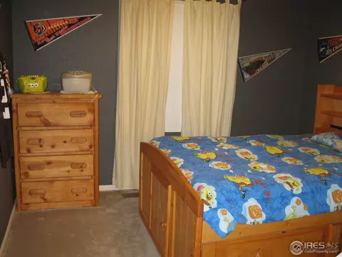 7480 Skyline Way, Frederick, CO 80504 photo 9