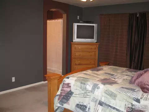 7480 Skyline Way, Frederick, CO 80504 photo 14